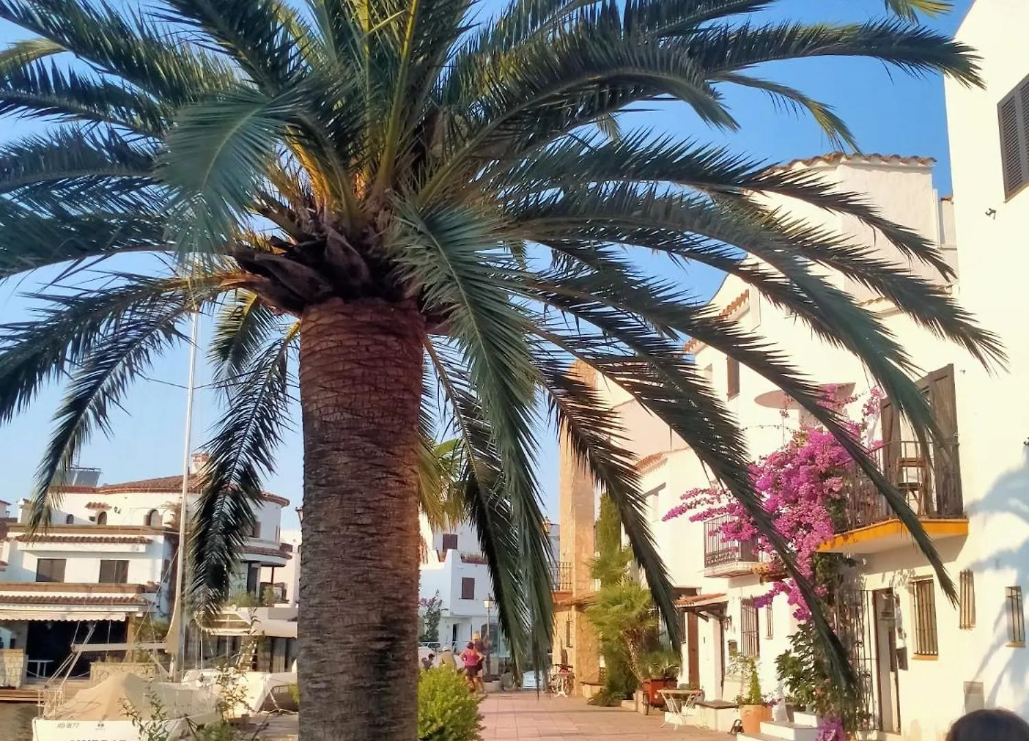 Apartment Blue Butterflies Studio Empuriabrava Spain
